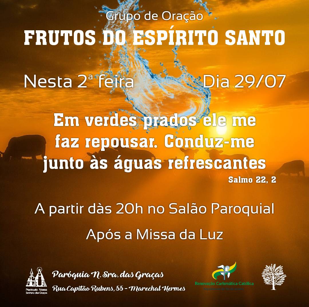 PHOTO-2019-07-29-06-58-11