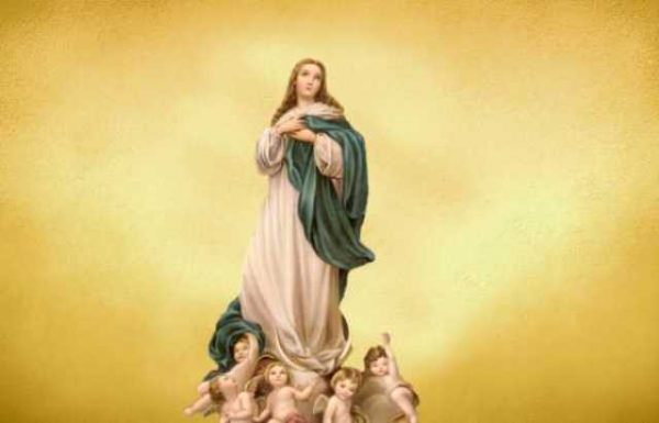 BNN_SIT_SENHORA_DA_CONCEICAO__1558348510_94.61.184.238