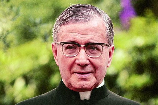 6990017337_852ce064e9_k_crop_20141107141604334507_art_feat