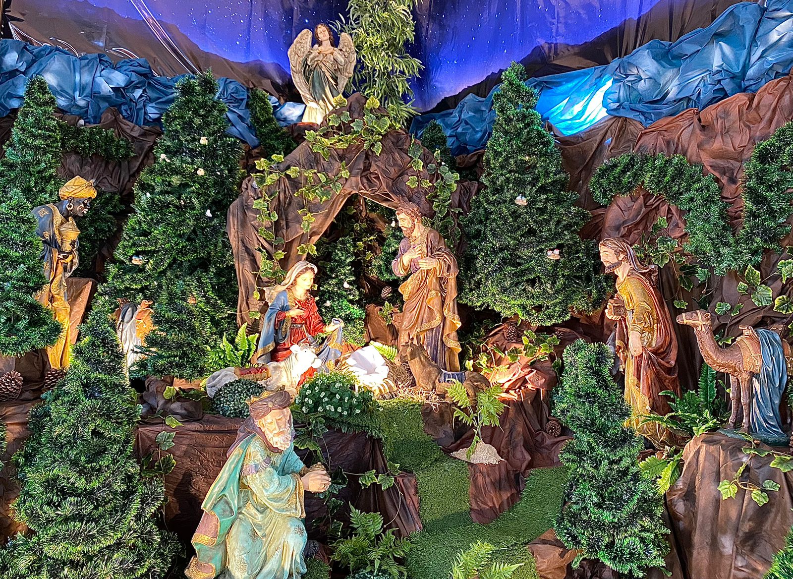 cfb6121a-a09a-49f2-bd93-5022d2ce37761