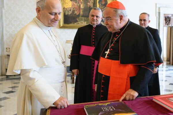 WhatsApp Image 2026-01-23 at 8.29.24 AM